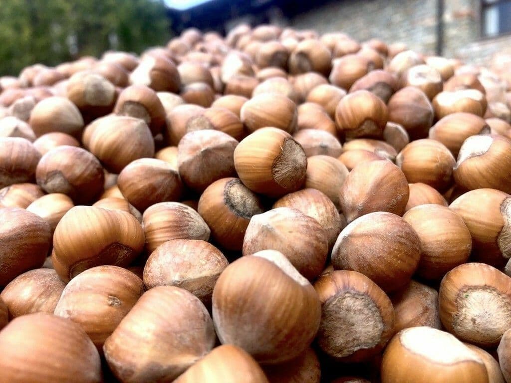 Farinél / Tonda e gentile, l’anima delle nostre colline