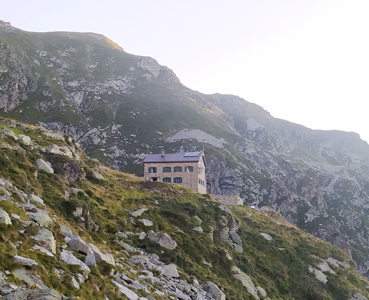 Custodi della biodiversità d’alta quota: un’escursione tra divulgazione scientifica e Bioblitz al Rifugio Rivetti