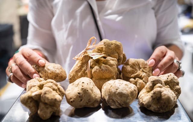 Terra Madre, lavoro e tartufo al centro degli incontri del 26 settembre