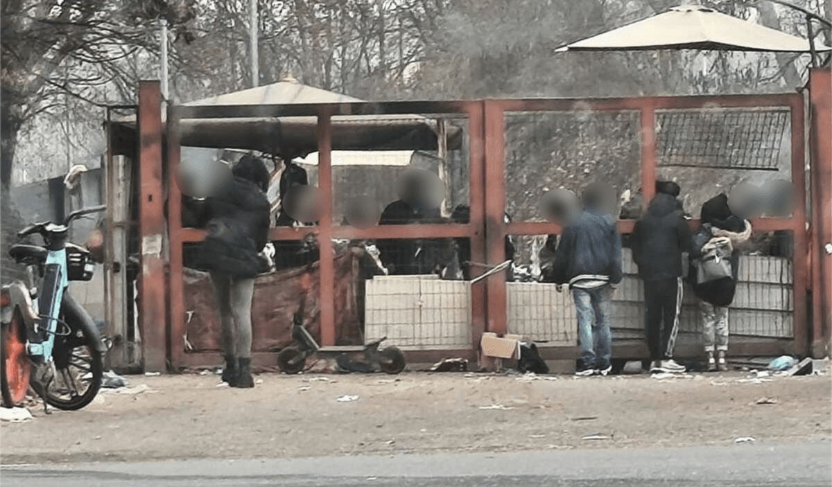 Droga nel quartiere Aurora, due persone arrestate all'interno del Parco Sempione