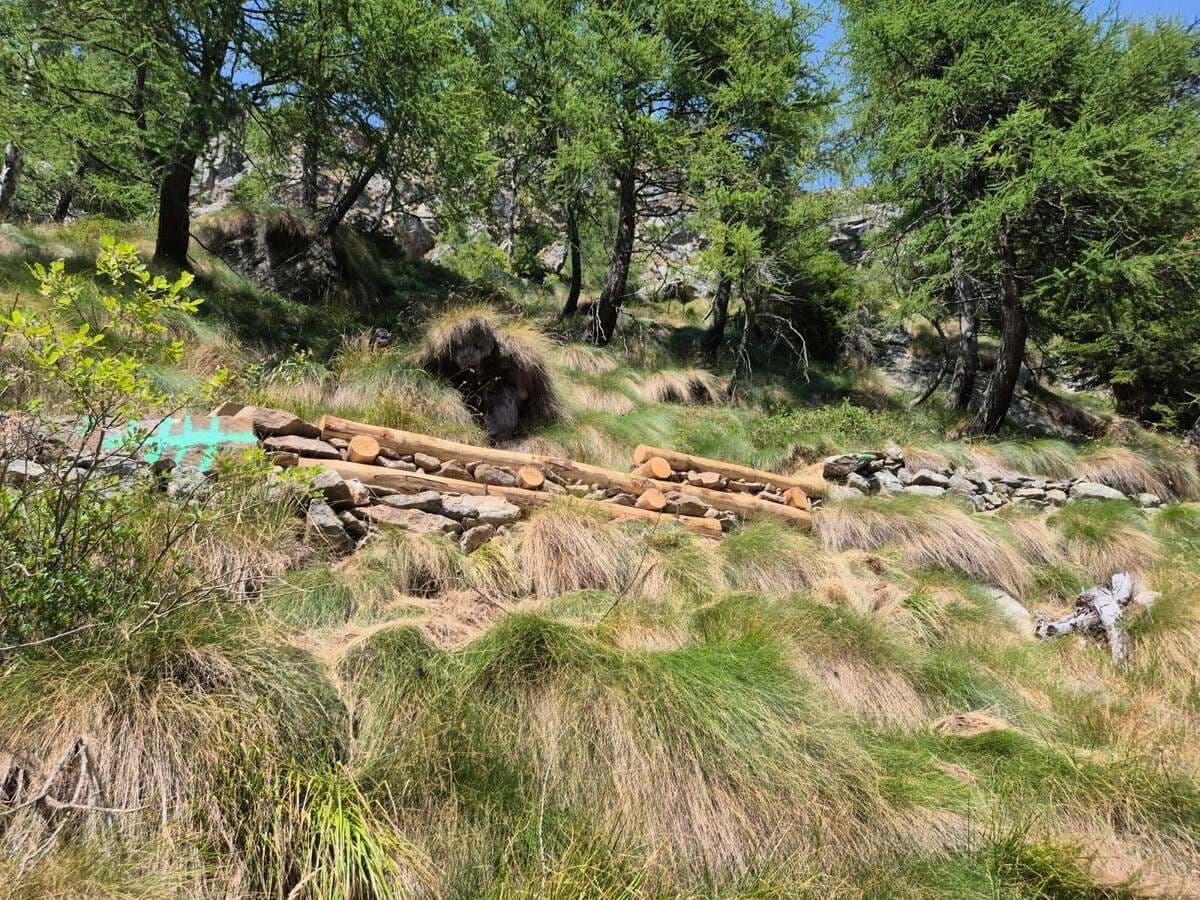 Rosazza, concluso l’intervento di manutenzione ordinaria del sentiero che porta al colle della Gragliasca FOTO