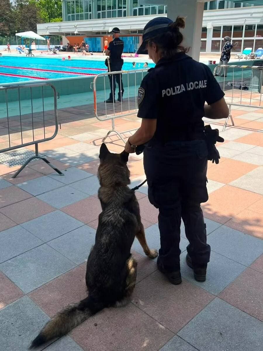 Sicurezza, nuovi controlli alla piscina della Colletta. Stamattina c'era anche il gruppo cinofilo