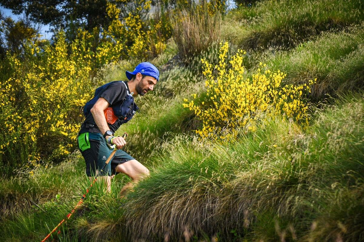 Si avvicina il Trail Oasi Zegna: oltre 400 iscritti all'edizione 2026