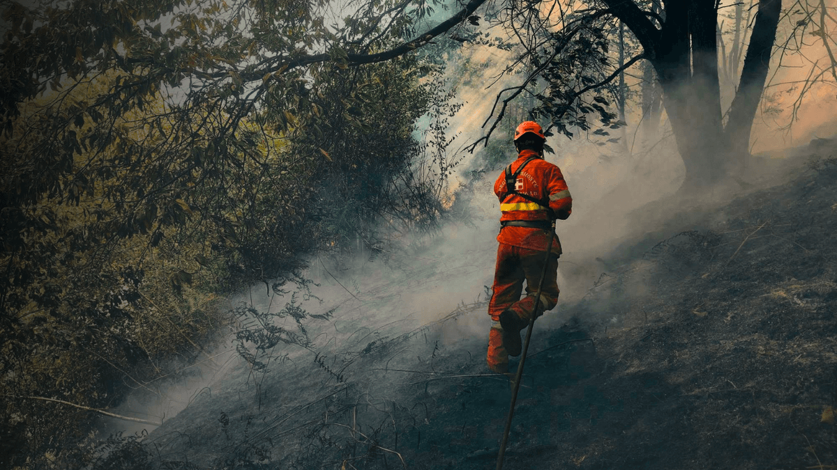 Incendio Monte Barone, inquinamento atmosferico: PM10 sopra la media