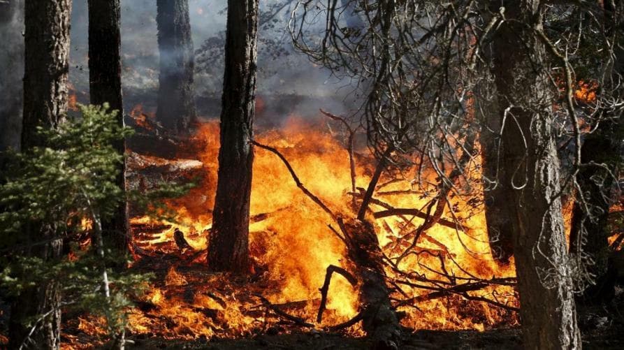 INCENDI / In Piemonte situazione in miglioramento, domani la riunione in Regione per l'emergenza idrica
