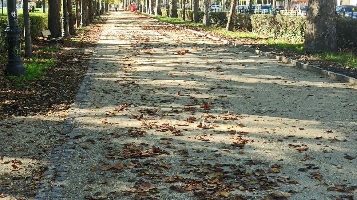 Ondate di calore ed allagamenti, Cioria (Pd): "Facciamo un piano di depavimentazione"