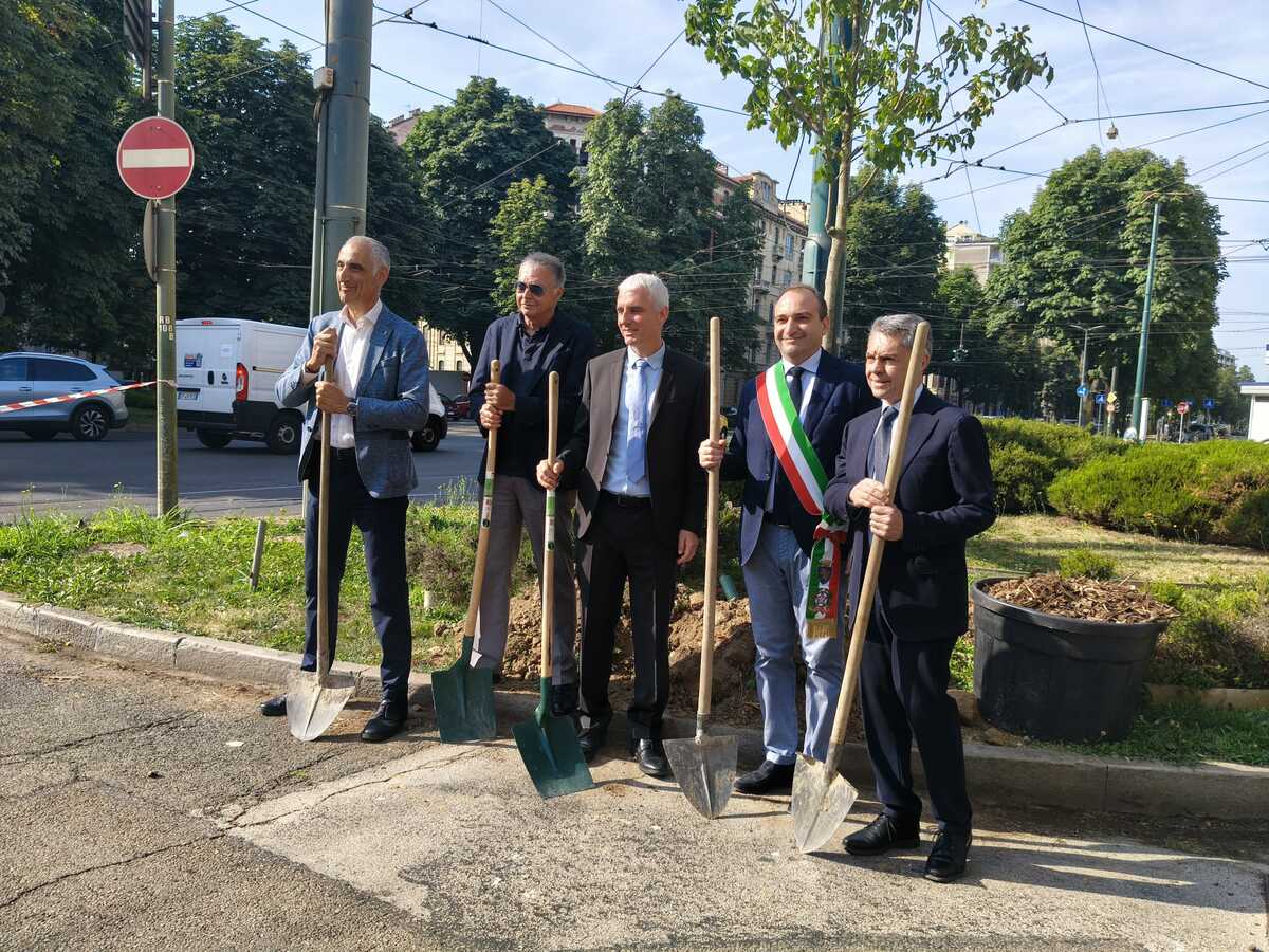 Torino cresce nel verde: 2.800 nuovi alberi per riqualificare i viali, meno inquinamento e più fresco [FOTO]