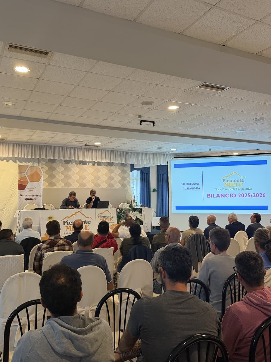 L’oro giallo del Piemonte. I numeri della cooperativa Piemonte Miele