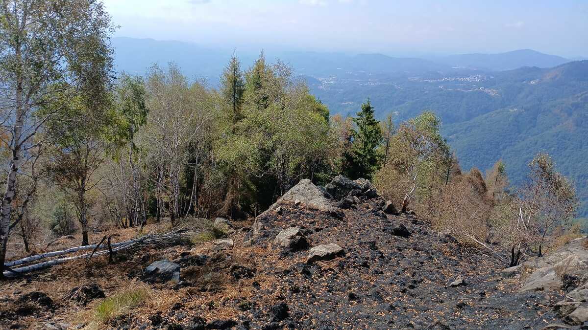 Incendio Monte Barone, dopo 18 giorni il rogo è estinto, Setti: "Una battaglia estenuante" FOTO