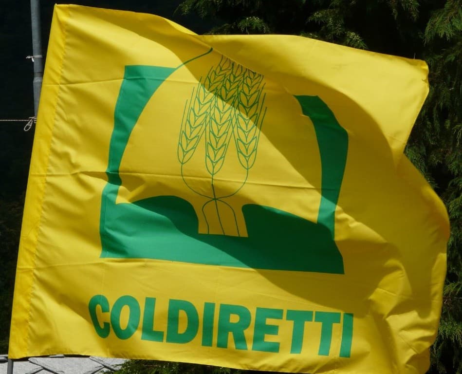 Meat sounding, Coldiretti Cuneo: "Stop dell'Europa alla carne sintetica"