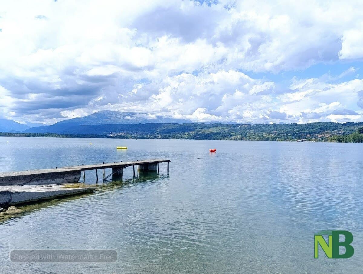 Viverone, giornata di pulizia delle sponde del Lago: il grazie del Comune