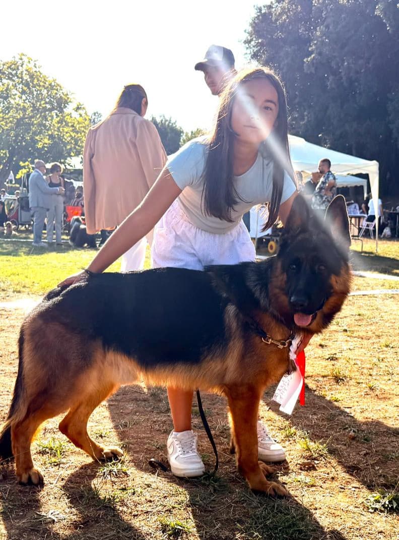 Bra, due gare di successo per Lara Giuliano e il suo pastore tedesco, con giallo finale