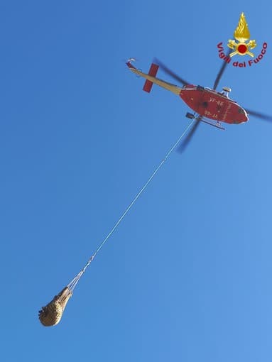 Mucca scivola ad Upega e non riesce a risalire: recuperato con l'elicottero dei vigili del fuoco
