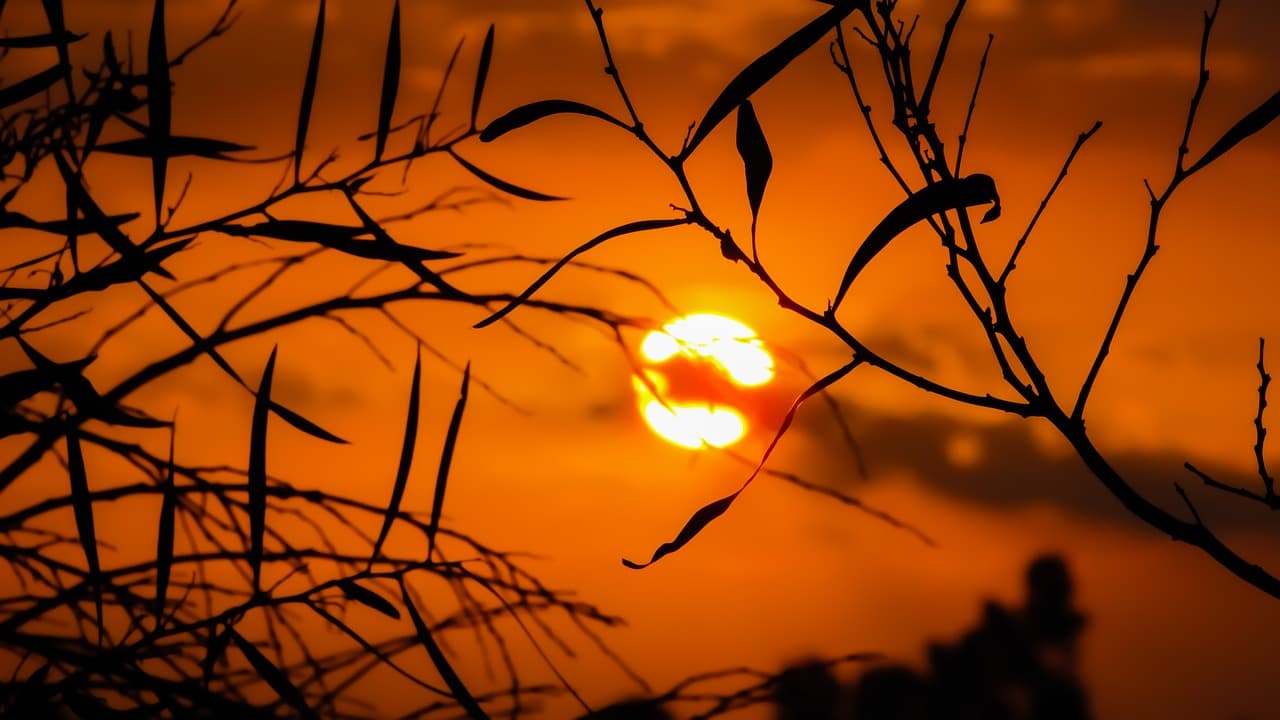 Notte rovente nella Granda: l'anticiclone non dà tregua, temperature inchiodate sopra i 20 gradi all'alba. Anche oggi attesi 35°