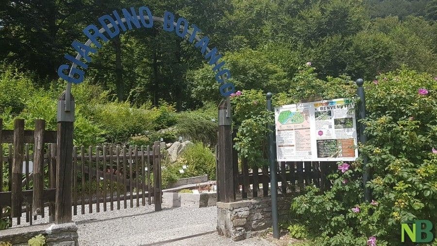 Oropa, un nuovo laboratorio per i Pollicini Verdi: le aperture di luglio e agosto al Giardino Botanico
