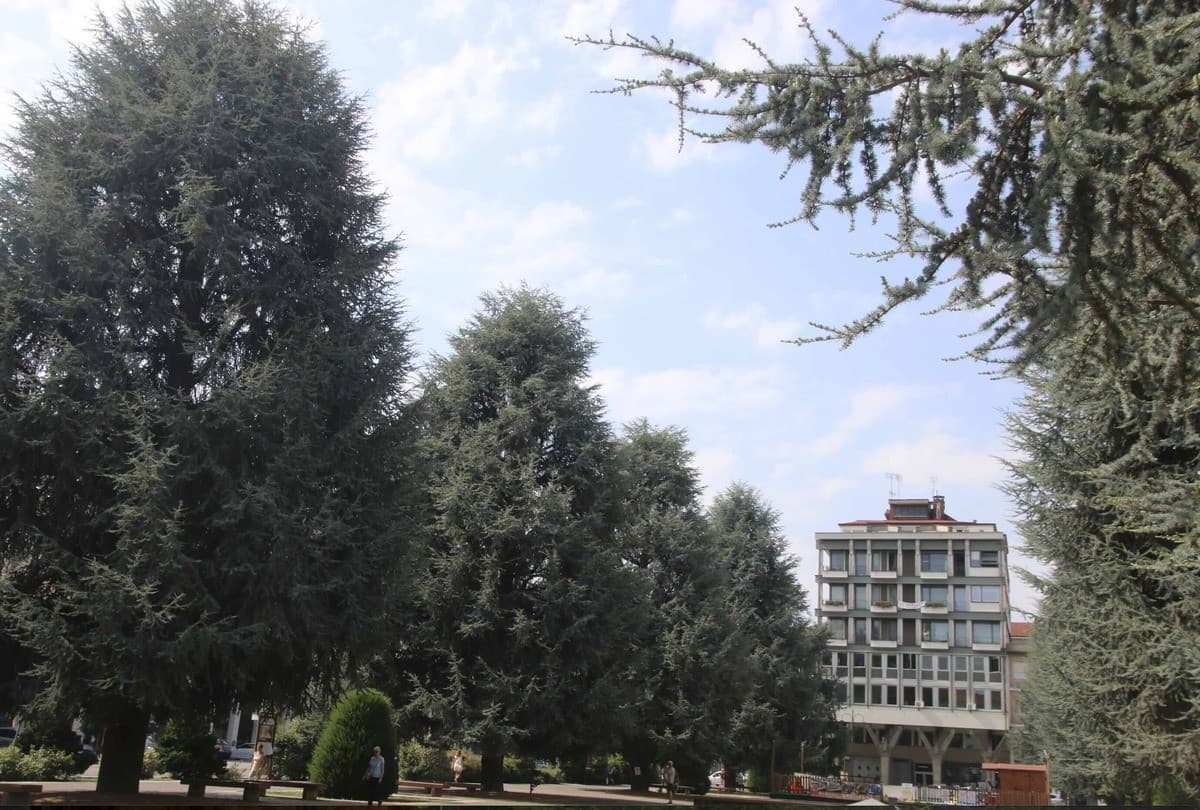 Cuneo per i Beni Comuni rilancia Piazza Europa come “rifugio climatico”