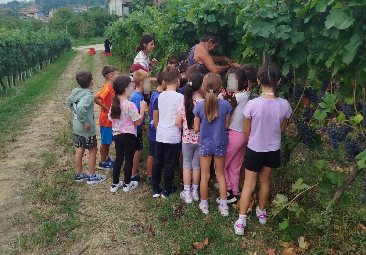 Alla scoperta del Quagliano: gli alunni della primaria di Costigliole visitano le aziende vitivinicole di Ceretto