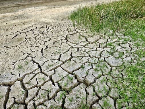 Coldiretti Piemonte: “Servono misure straordinarie per garantire acqua all’agricoltura, cresce il rischio siccità”