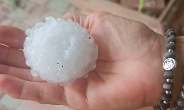Grandine gigante sulle colline del Po: chicchi fino a 8 centimetri, danni nel Torinese e in Piemonte