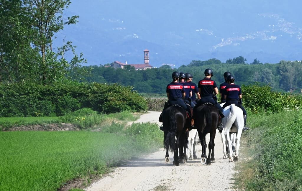Dal nord ovest. Maxi-servizio straordinario contro lo spaccio nei boschi biellesi, in azione anche i Carabinieri a cavallo FOTO e VIDEO