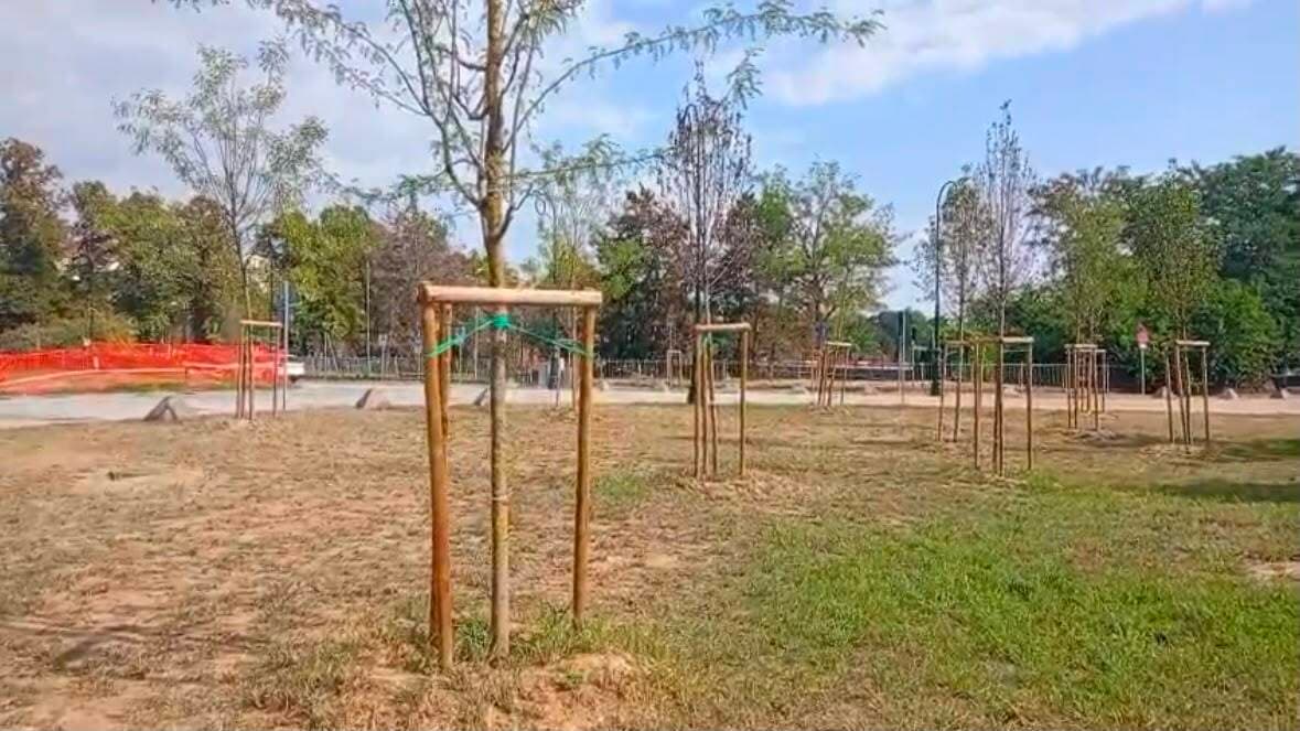 Parco del Valentino, l'allarme di Procivicos: "Gli alberi piantati sono già secchi"