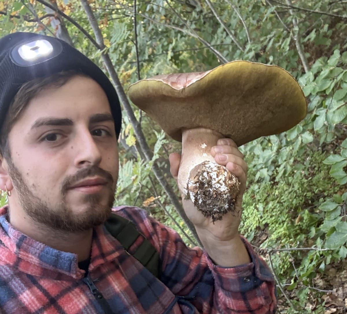 Un porcino da oltre due chili nei boschi di Dronero