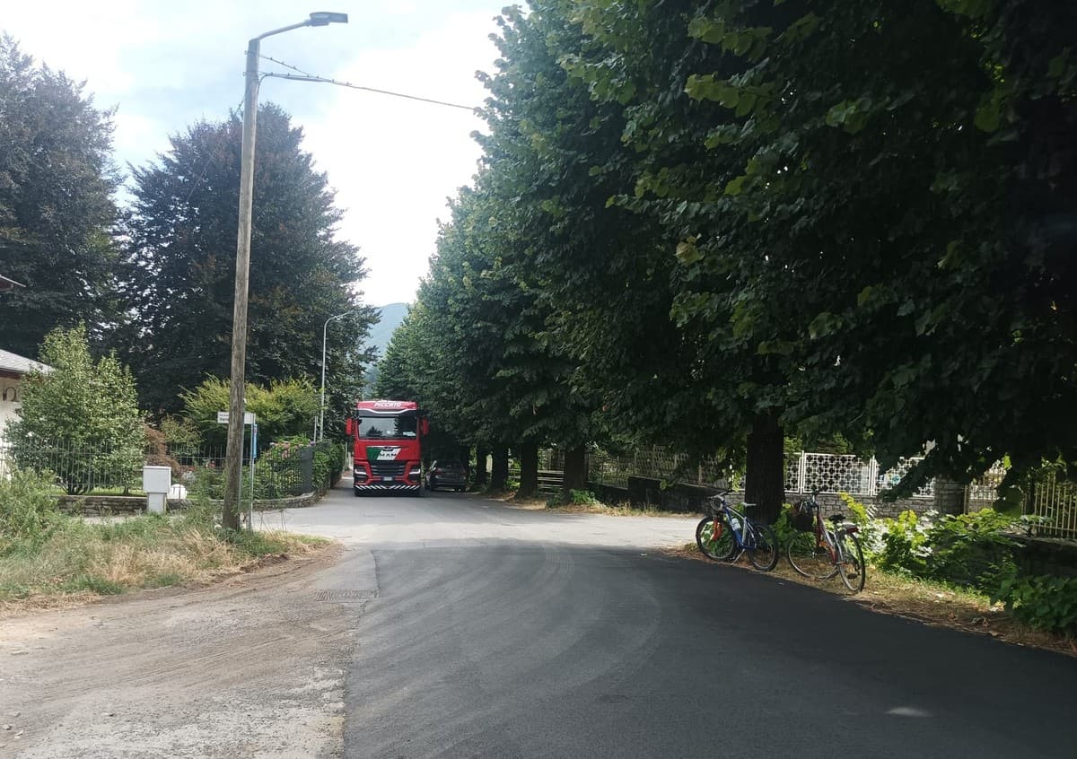 Ampliamento Caffarel: alberi di via Monte Granero, il Consiglio di Stato ferma le motoseghe fino ad ottobre
