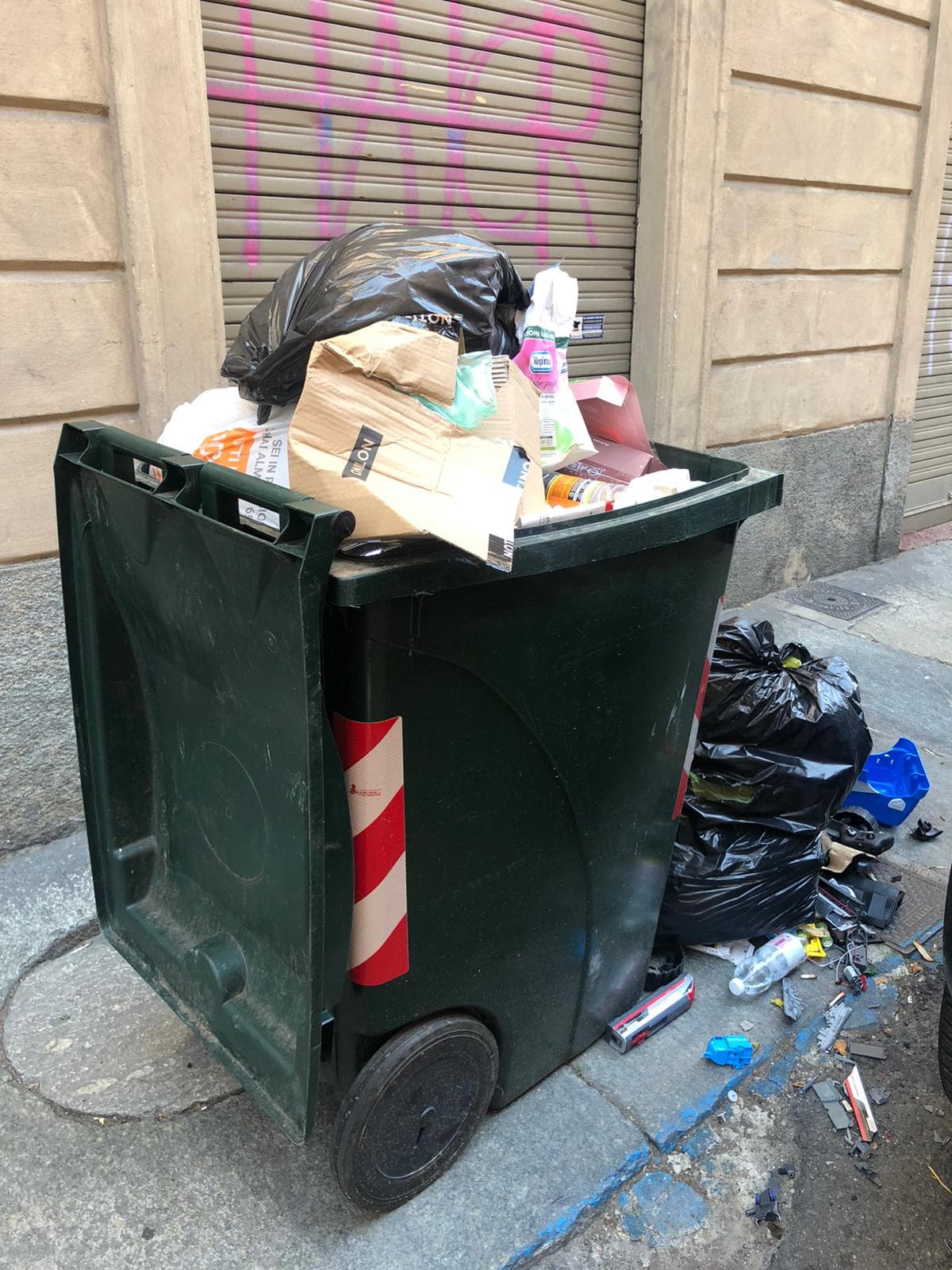 Rifiuti e blatte in via Ormea, il Comune rassicura: "Servizi attivi e monitoraggio costante"