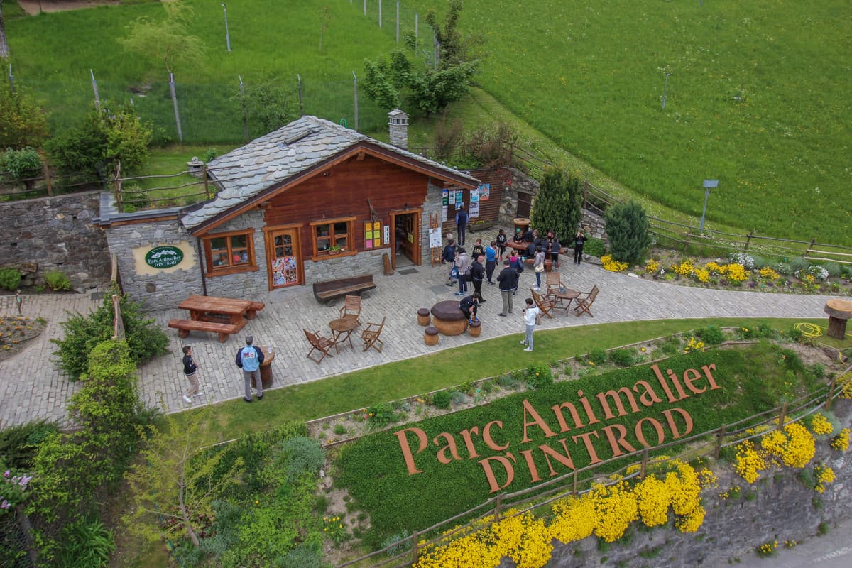 Parc Animalier d’Introd in Valle d'Aosta: la natura alpina a un passo dal Biellese e Vercellese FOTO e VIDEO