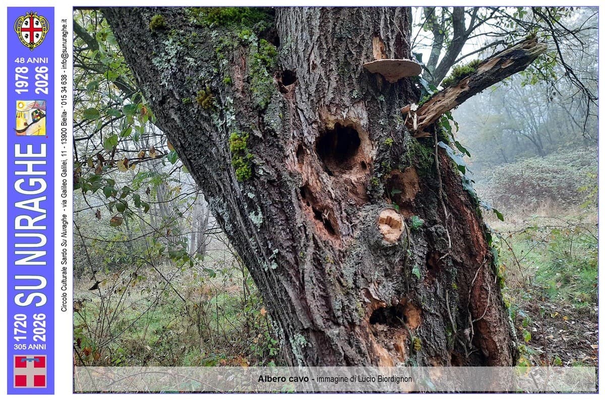 Biodiversità nel Biellese: un dono dei Sardi alla terra di adozione: Giugno