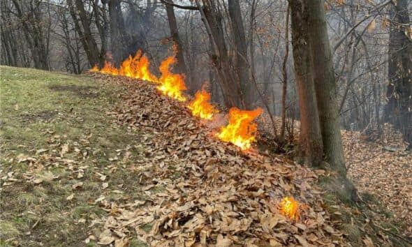 Abbruciamenti all’aperto, il Consiglio regionale approva la sperimentazione: ARPA monitorerà gli effetti