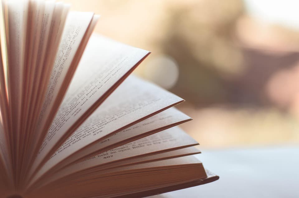 Libri in giro, a Biella si legge tutti insieme per un Natale davvero magico