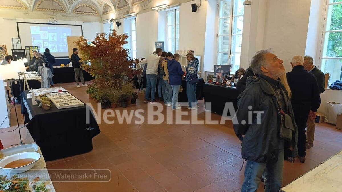 A Biella si celebra l’eccellenza artigiana con la decima edizione di Fatti ad Arte FOTO e VIDEO