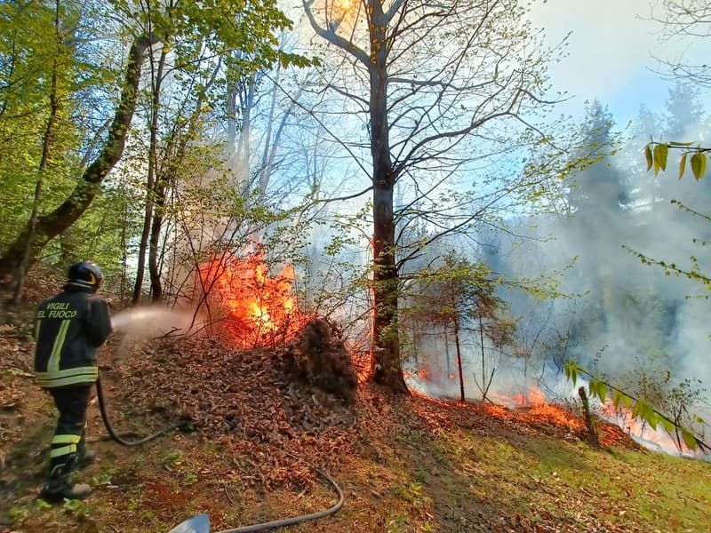 Incendio boschivo a Mango in un'area impervia, in arrivo l'elicottero