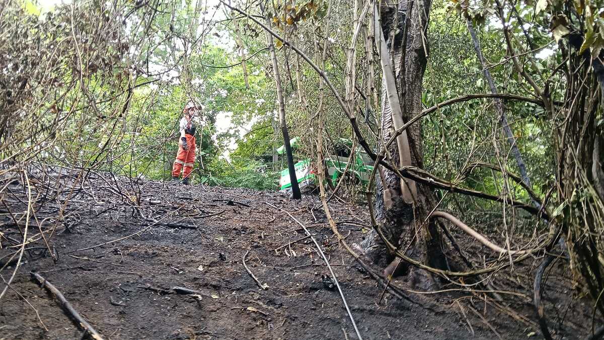 Biella, incendio di sottobosco tra Pavignano, Vaglio e Colma FOTO