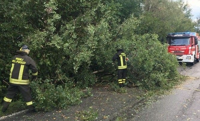 Maltempo, in Valle Elvo tre piante sulla strada: passante allerta i Vigili del Fuoco 