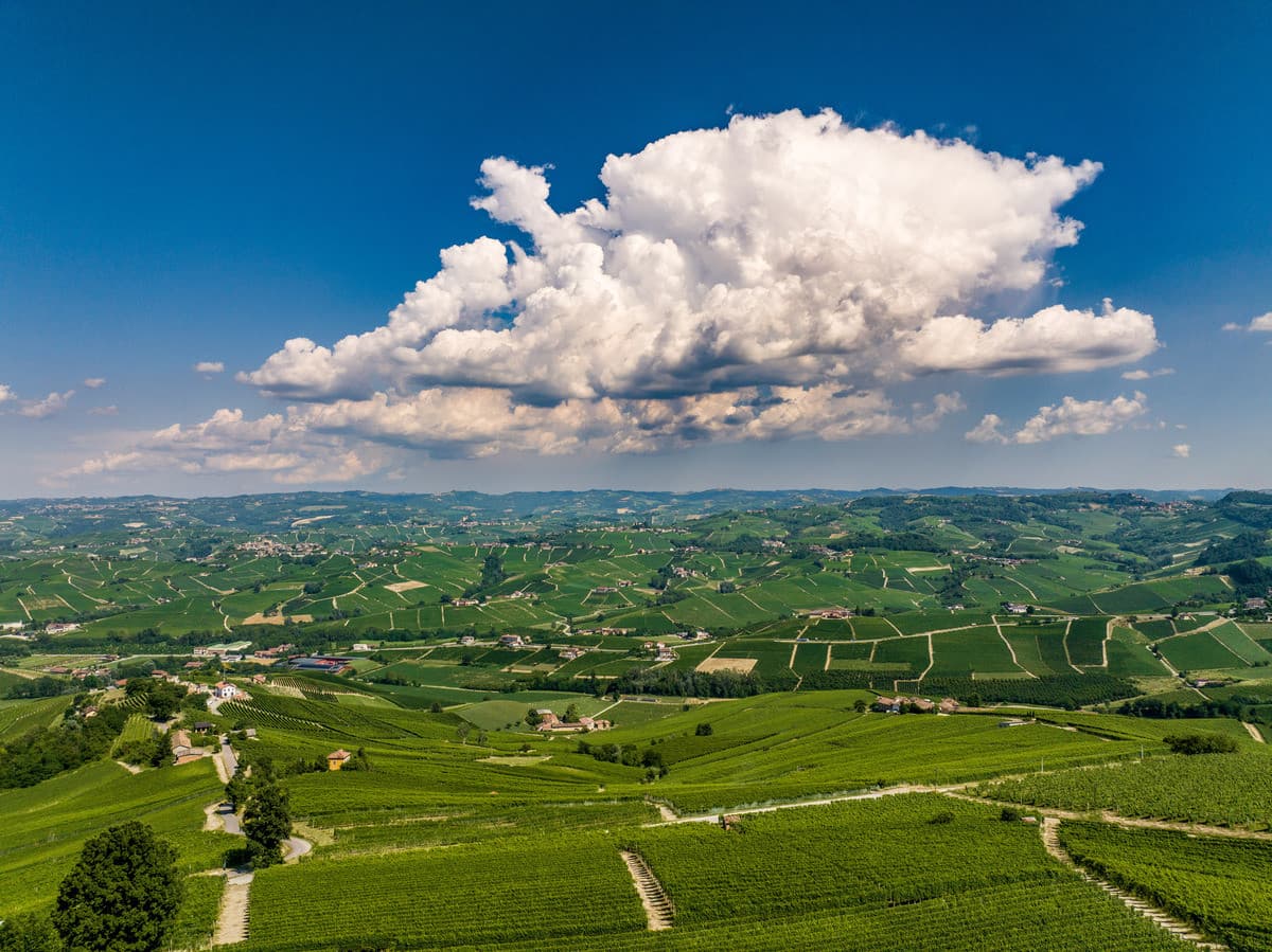 Un piano strategico per Langhe, Roero e Monferrato: approvati 31 progetti Unesco fino al 2031