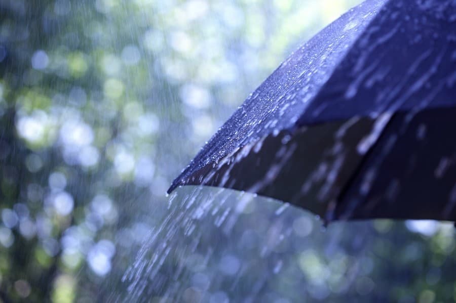 Storia a lieto fine per una coppia di anziani che si separa in vista del temporale non ritrovandosi