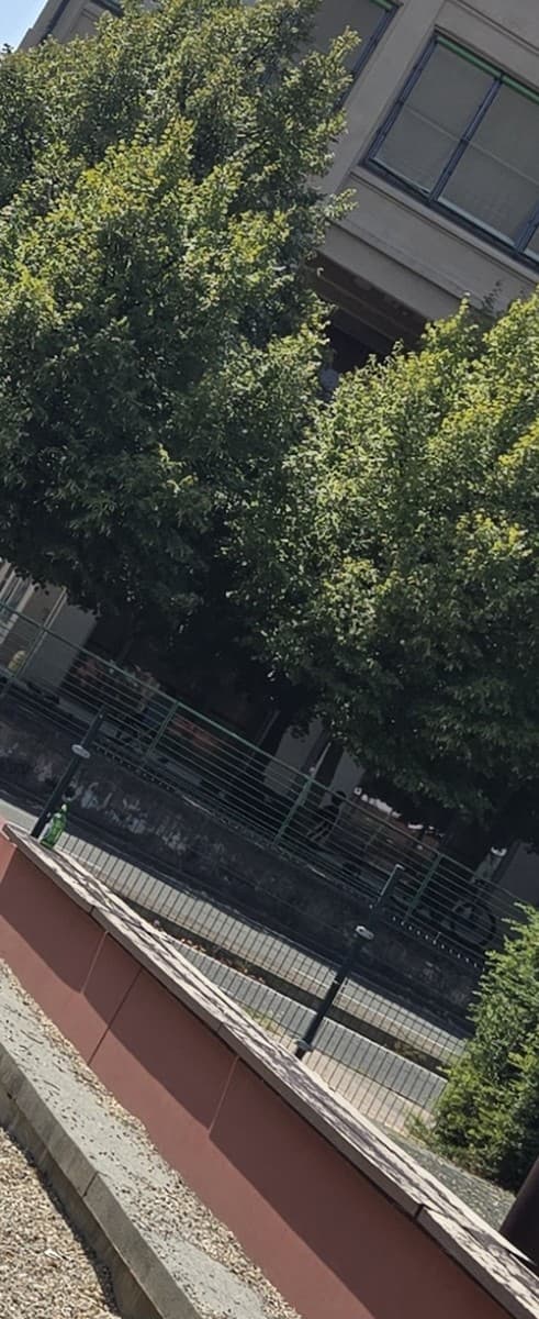 Nizza Millefonti, ancora una segnalazione di degrado: "Anche a Ferragosto la situazione è sempre identica"