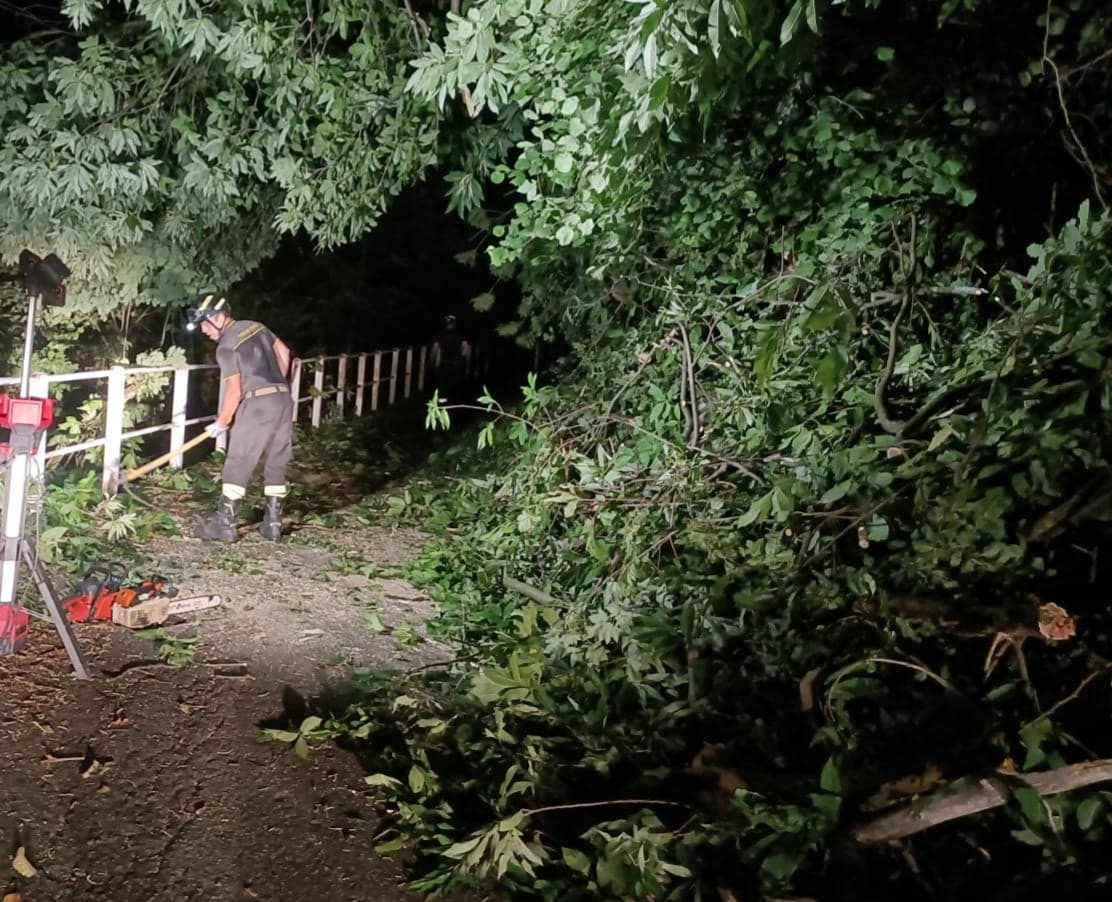 Campiglia Cervo, piante cadono a terra nella notte: chiusa la strada tra Tomati e Roreto FOTO