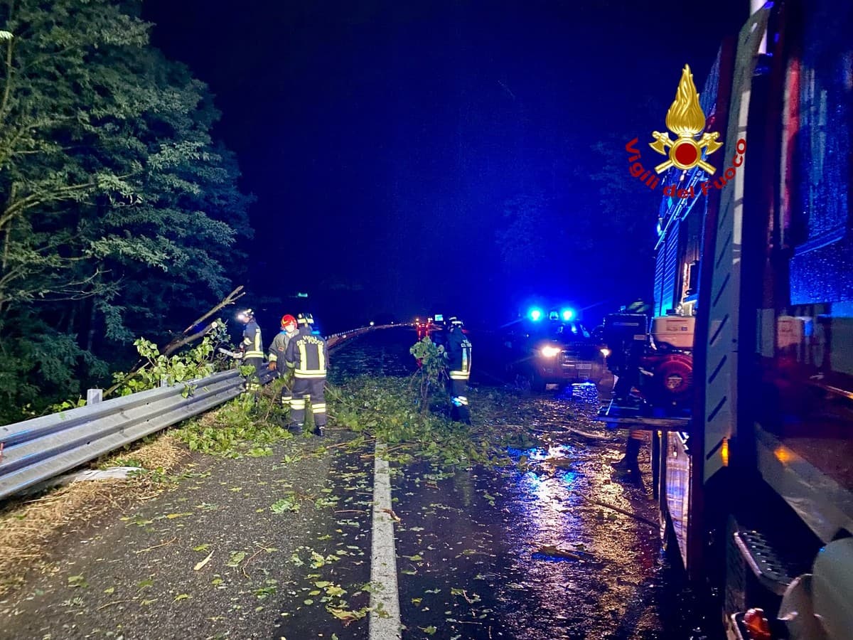Pianta cade al suolo sulla SP400 e causa incidente stradale: c'è un ferito