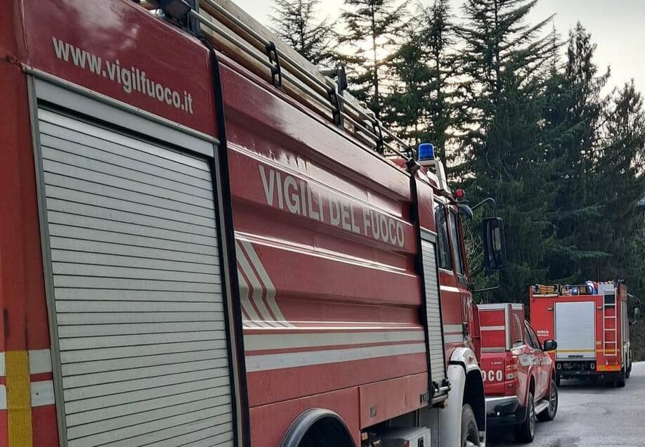 Raffiche di vento, piegati due alberi sulla provinciale tra Valdieri e Sant'Anna
