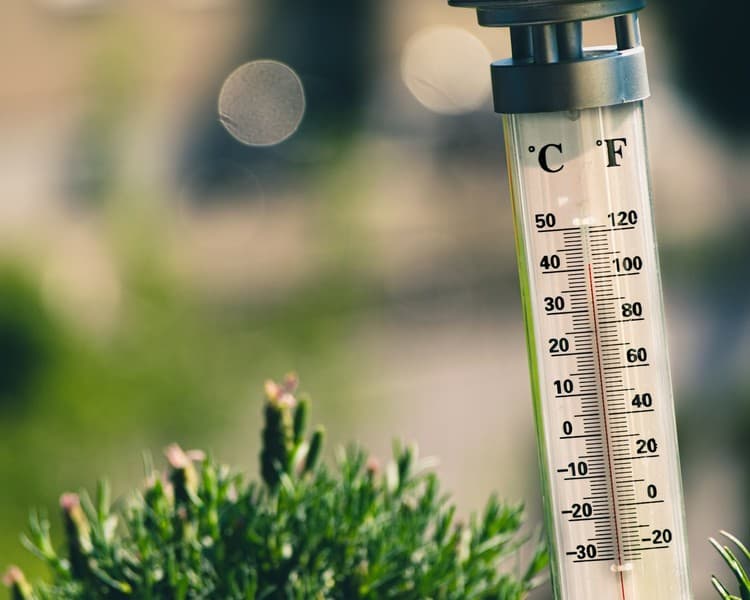 Ondate di calore: in arrivo un weekend da bollino rosso