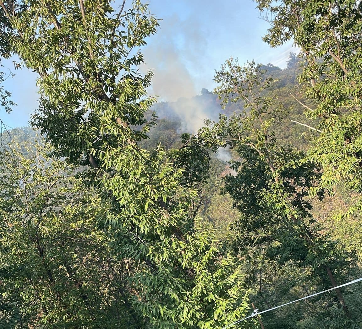 Luserna San Giovanni: fiamme nel bosco del Bric di Bandì