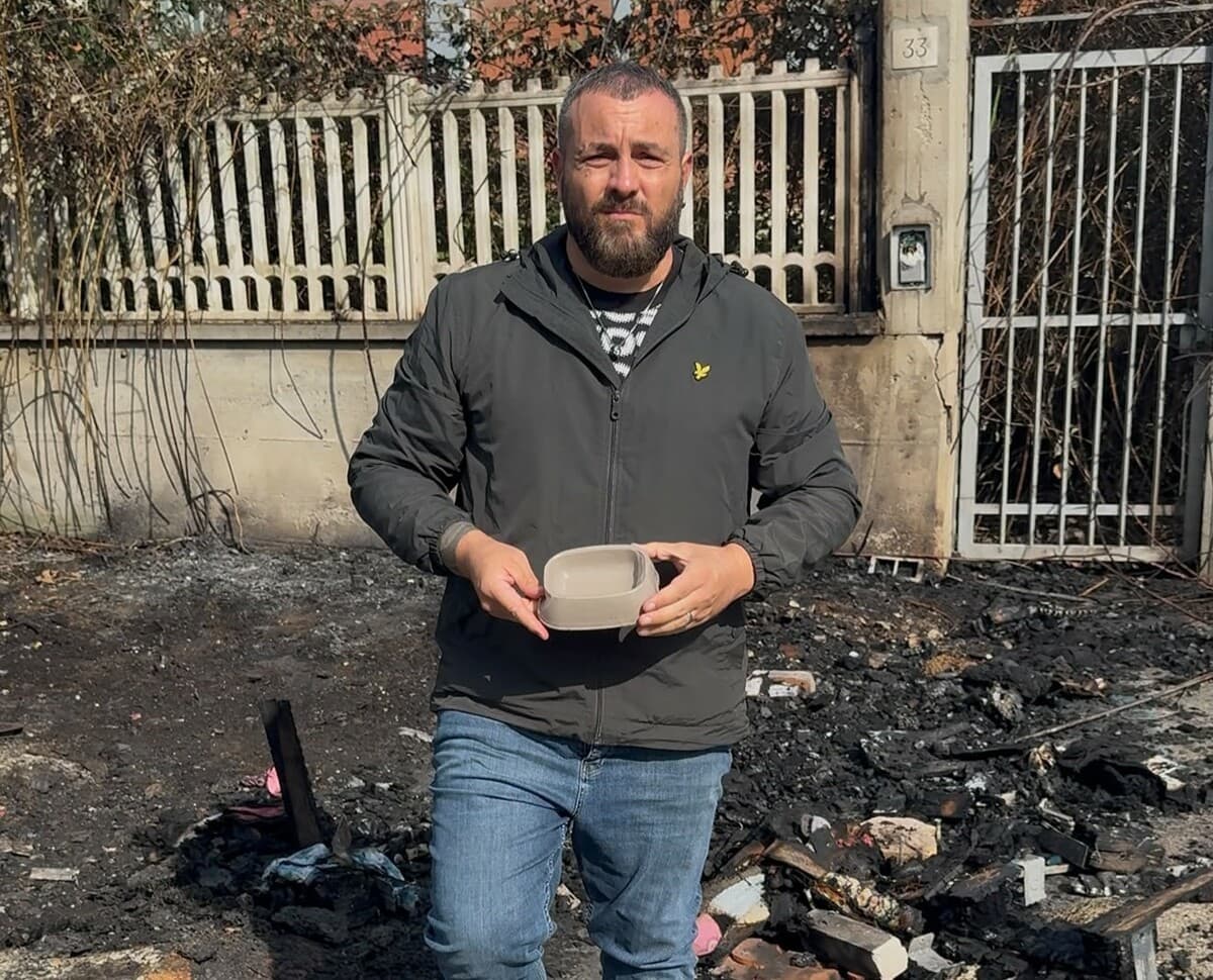 Nichelino, colonia felina data alle fiamme: "Un vile attacco agli animali"