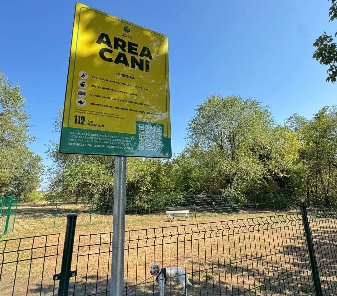 Nuova area cani e camminamenti al cimitero: lavori in  corso a Beinasco