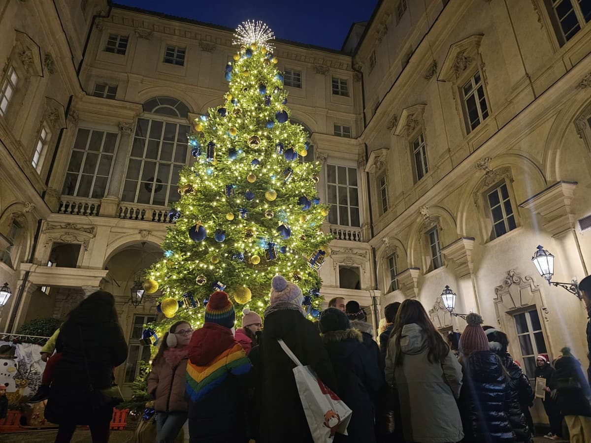 Torino nella morsa del caldo guarda al Natale: le Feste porteranno in regalo il "verde" (temporaneo) nella nuova via Roma