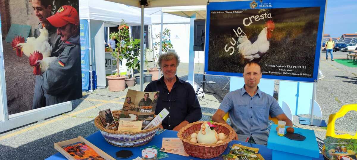 Pratiche agroforestali per un allevamento sostenibile: Paolo Viano porta la Gallina Bianca al convegno ASPmed