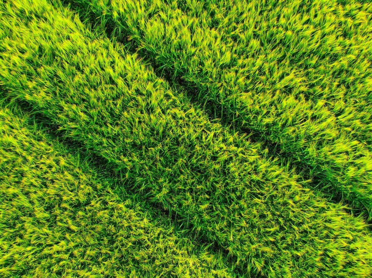Posa erba sintetica: perché la fase di installazione incide su durata e resa estetica