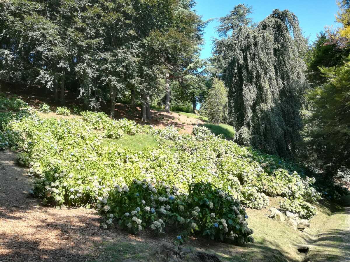 Pollone, al Parco Burcina ci sarà la Passeggiata Silenziosa al Chiar di Luna